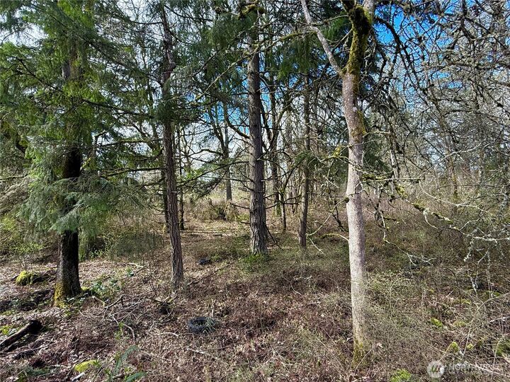 Property Photo:  35208  88th Avenue  WA 98558 