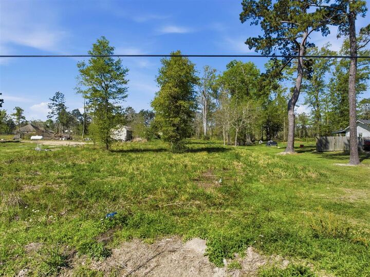 Property Photo:  0 Watts Road  LA 70611 