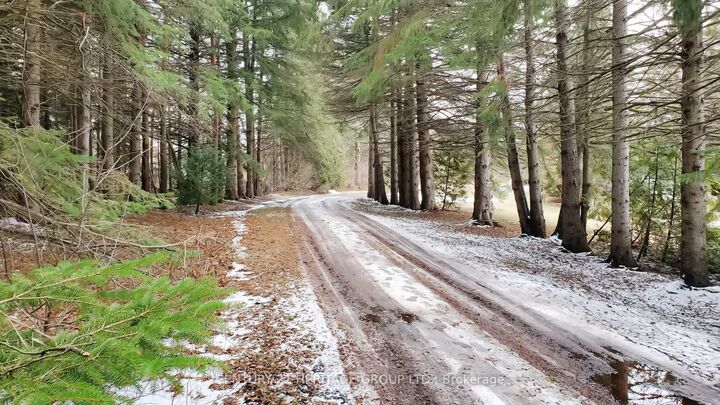 Property Photo:  21455 Warden Avenue  ON L0G 1R0 