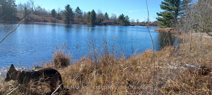 Property Photo: Kaladar Con 9 Lt 21 N/A ON K0H 2G0
