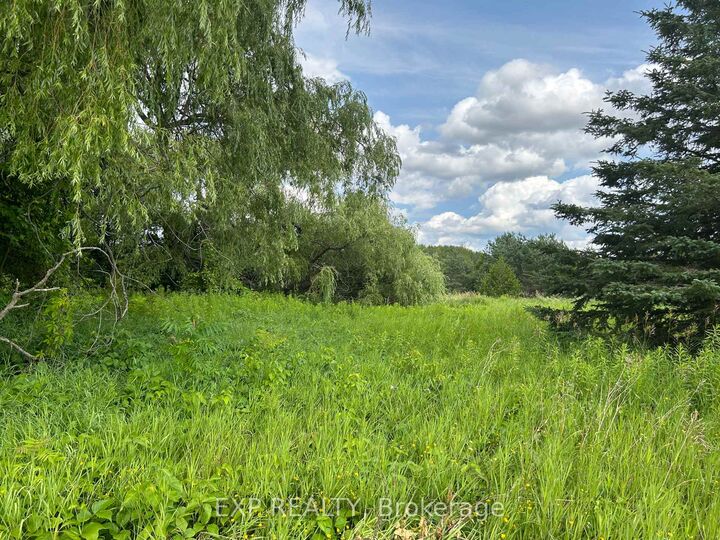 1125 Wood Road — photo 1