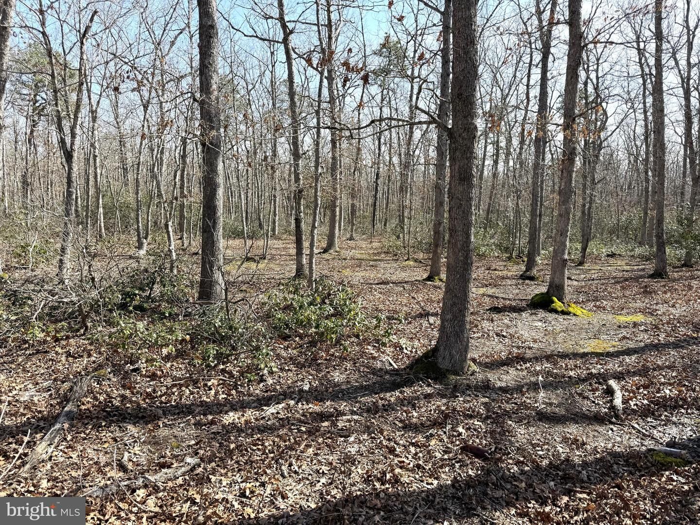 Property Photo: 0 Birchwood NJ 08087