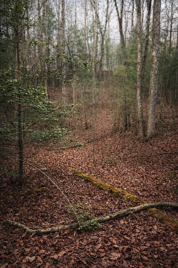 Property Photo: 1 Bear Run Circle GA 30540