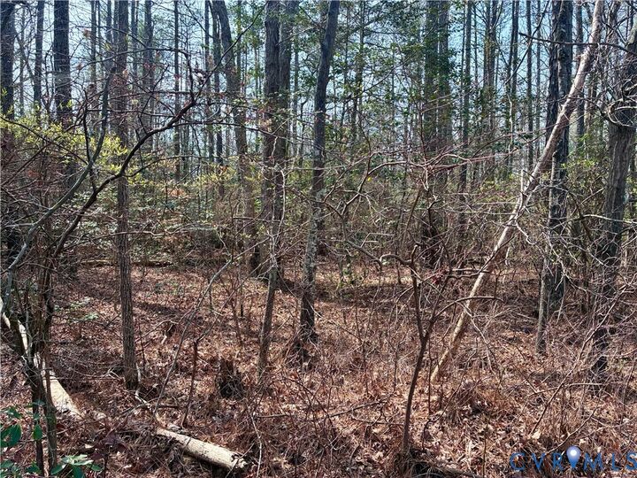 Property Photo:  15000 Bradley Bridge Road  VA 23838 