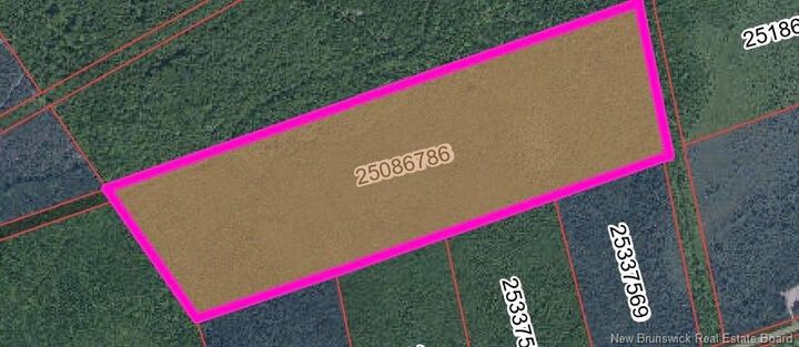 Property Photo: Vacant Lot Rte 465 Beersville NB E4T 2N8