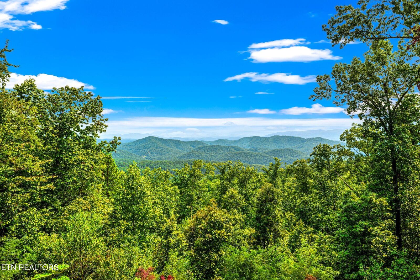 Property Photo:  Lot Tr-1 Shell Mountain Rd  TN 37876 