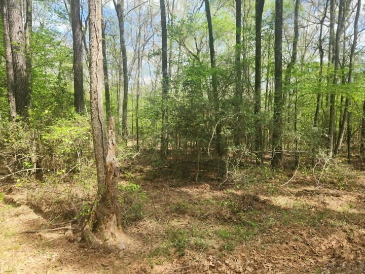 Property Photo:  Tbd Baker Bridge Road  TX 75672 