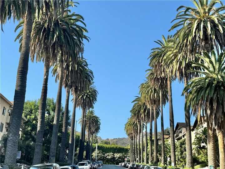 Property Photo:  #425 N Fuller 425  CA 90046 