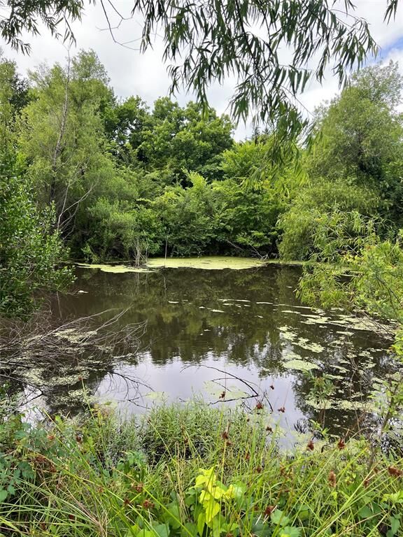 Property Photo:  Tbd County Road 4578  TX 75482 