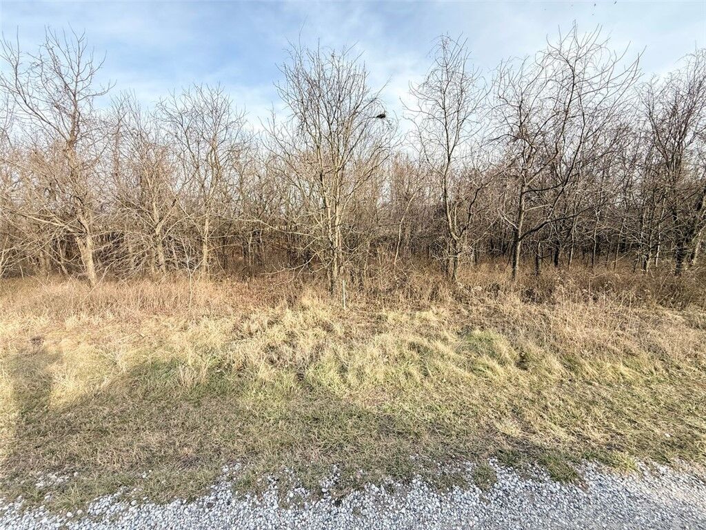 Property Photo:  Lot 29 Log Cabin Drive  AR 72768 