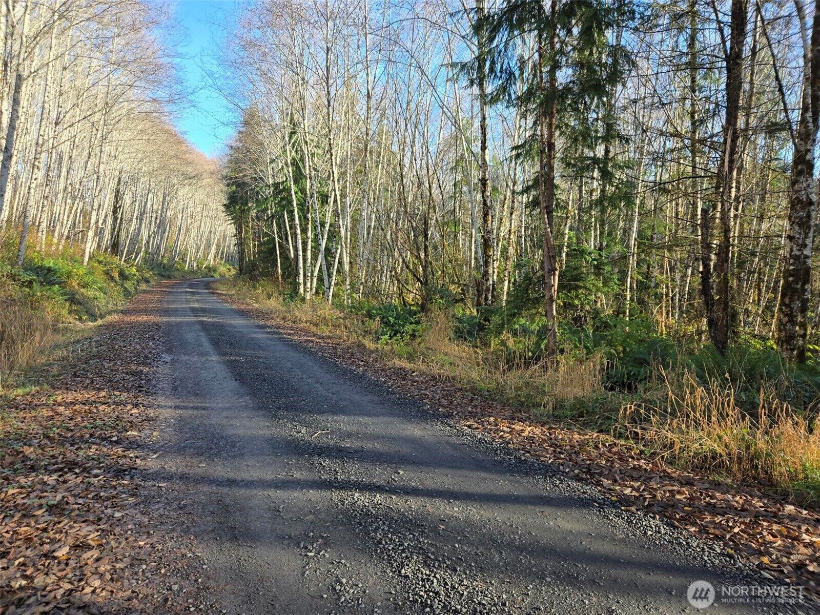 Property Photo: 0 Nka Fall River Road WA 98537