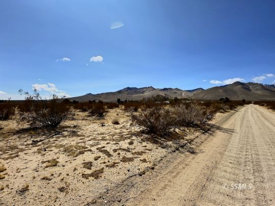 Property Photo:  Greasewood Ave  CA 93527 