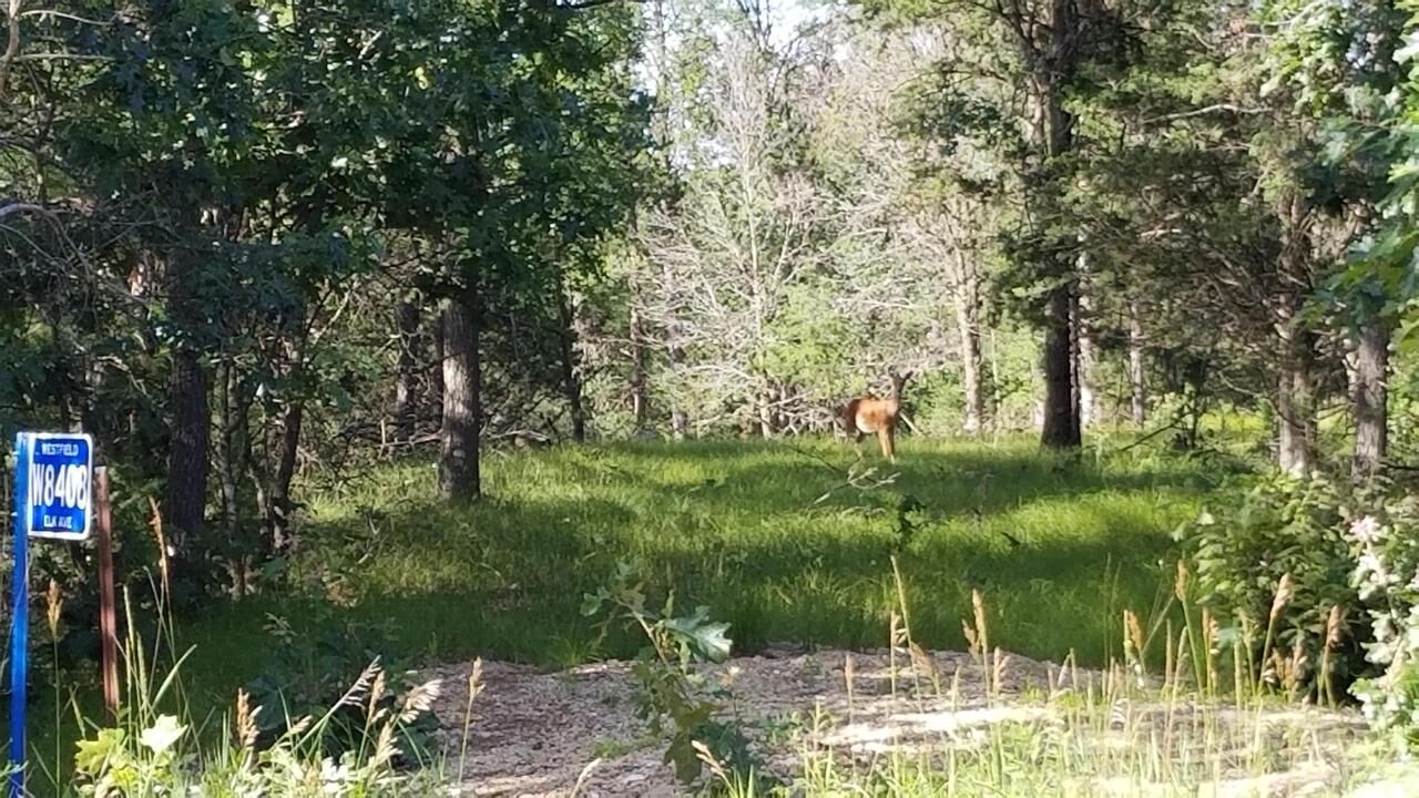 Property Photo:  W8408 Elk Avenue  WI 53952 