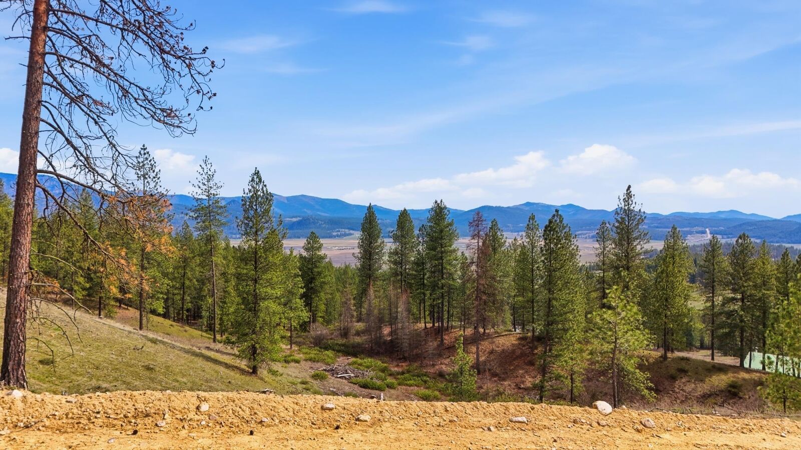 Property Photo:  2600 Pine Top Blk Rd  WA 99109 