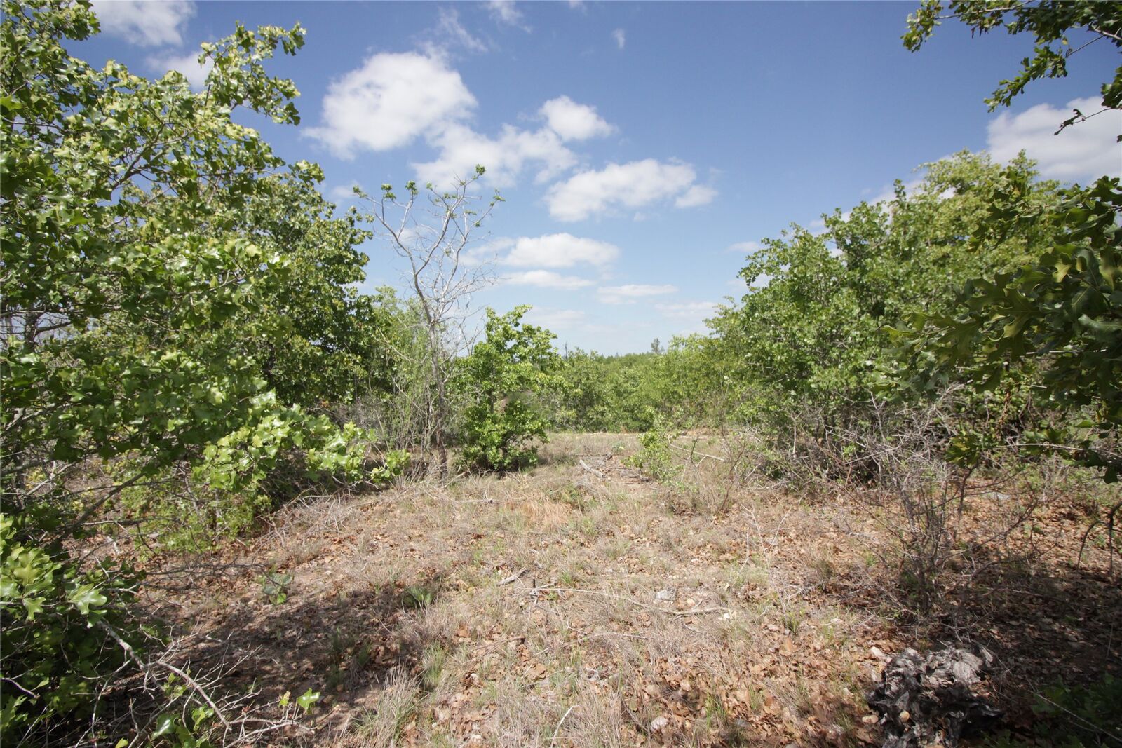 Property Photo: Tbd River Forest Drive TX 78602