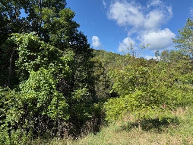 Property Photo: 54 Evelien Hill Road NY 13827