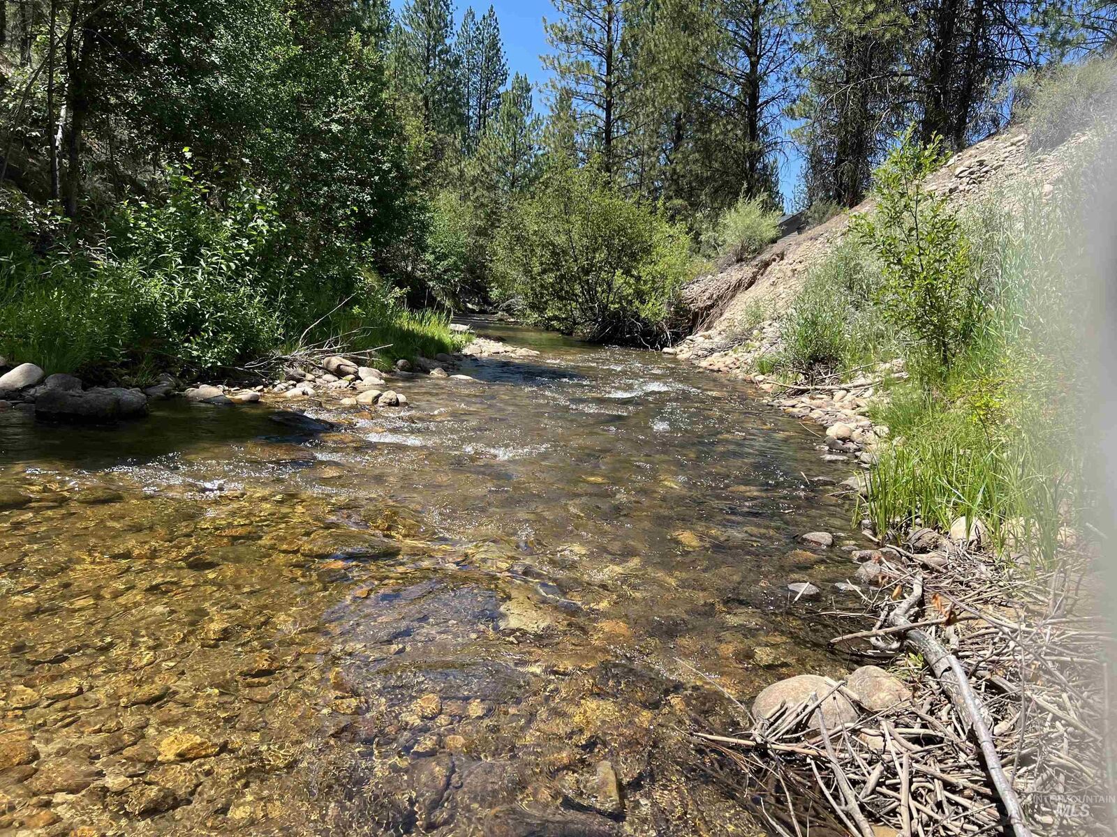 Property Photo:  206 Lainey Ln.  ID 83631 