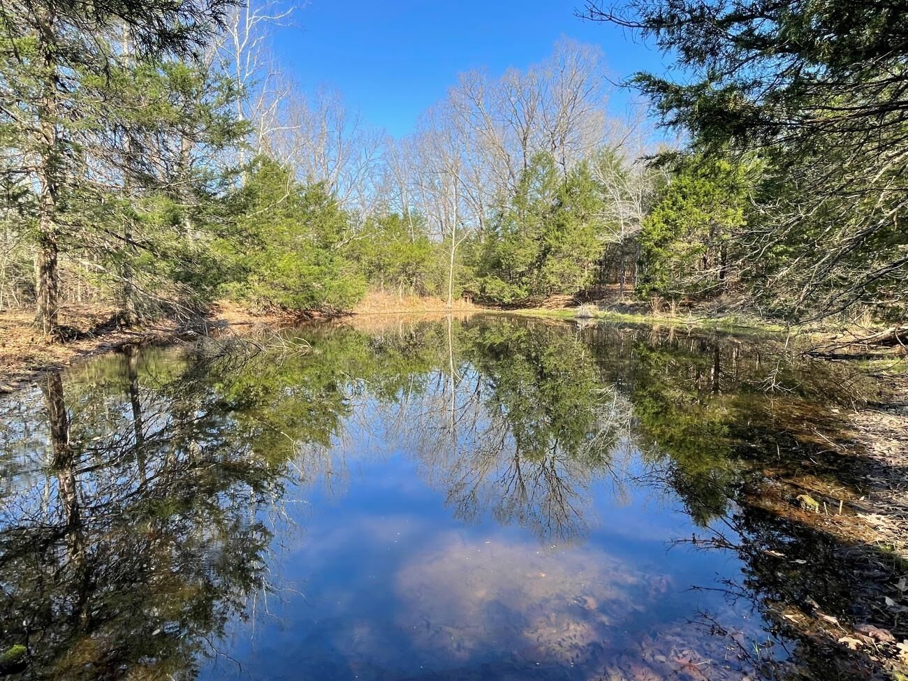 Property Photo:  4240 Blackwell Den  AR 72478 