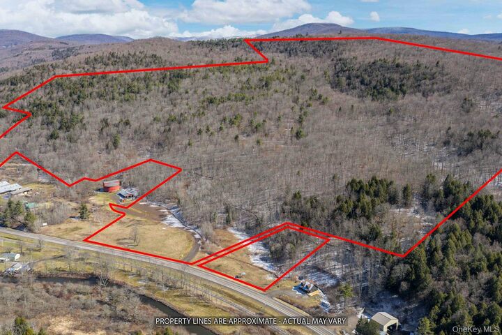 Property Photo:  191 Mill Road  NY 12455 