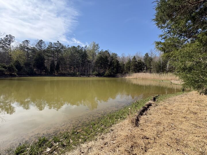 Property Photo:  1000 State Route 831  KY 42345 