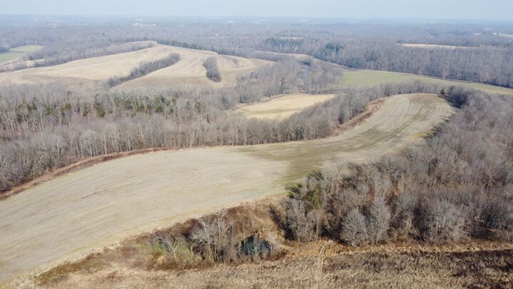 Property Photo:  10820 Bugtussle Rd  KY 42133 