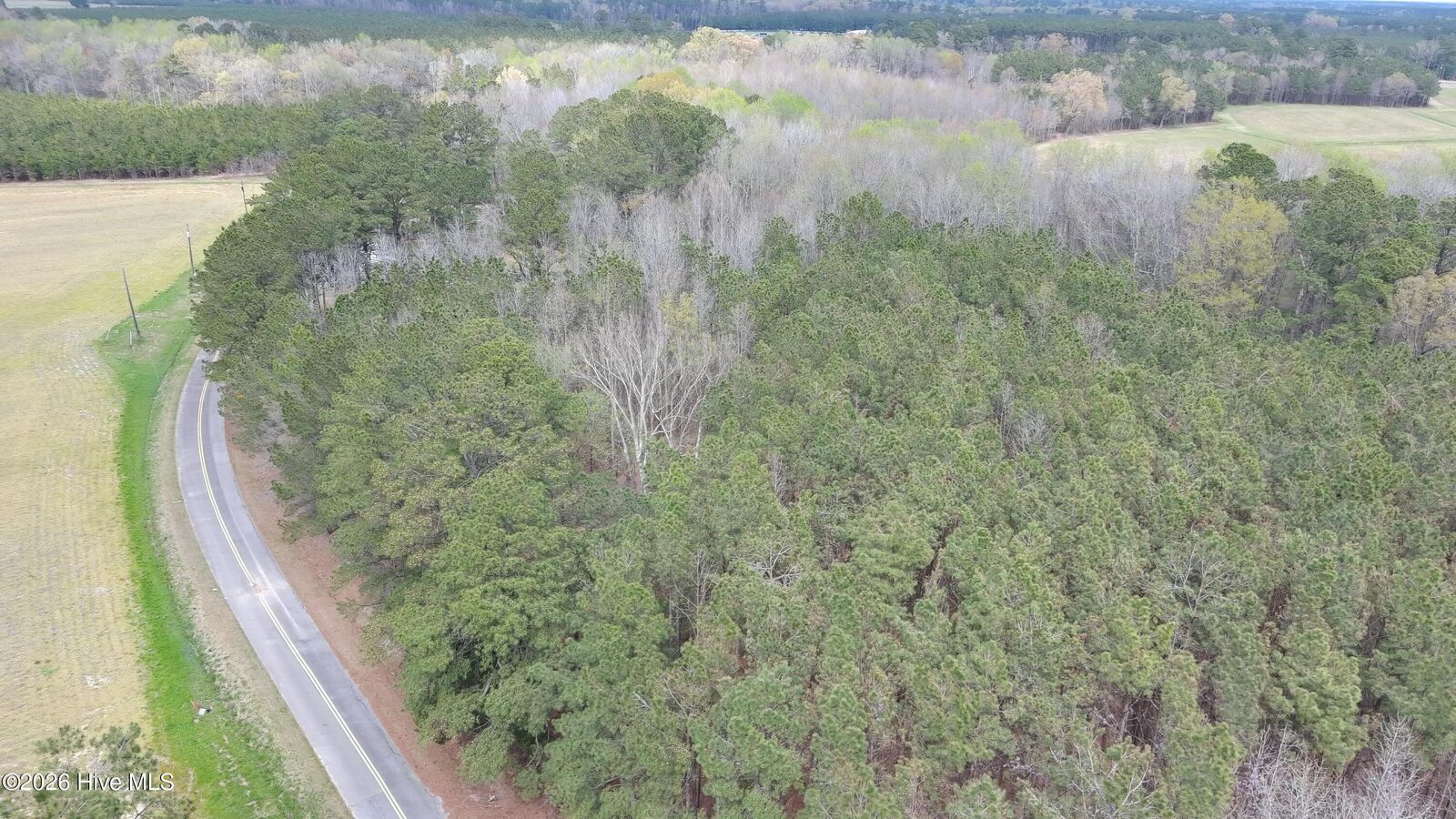 Property Photo: 00000 NE S SR 1134 NC 27910