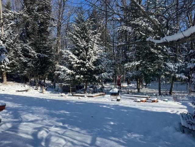 Property Photo:  3 Beechwood Lane  VT 05403 