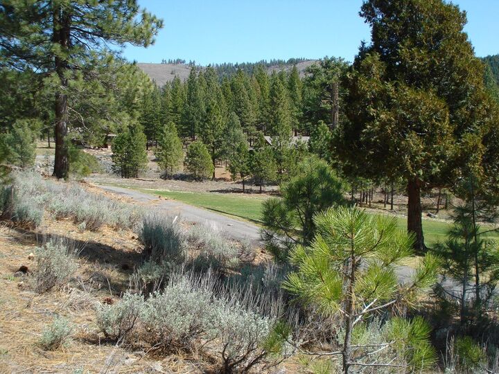 Property Photo:  404 Blacktail Ridge  CA 96122 