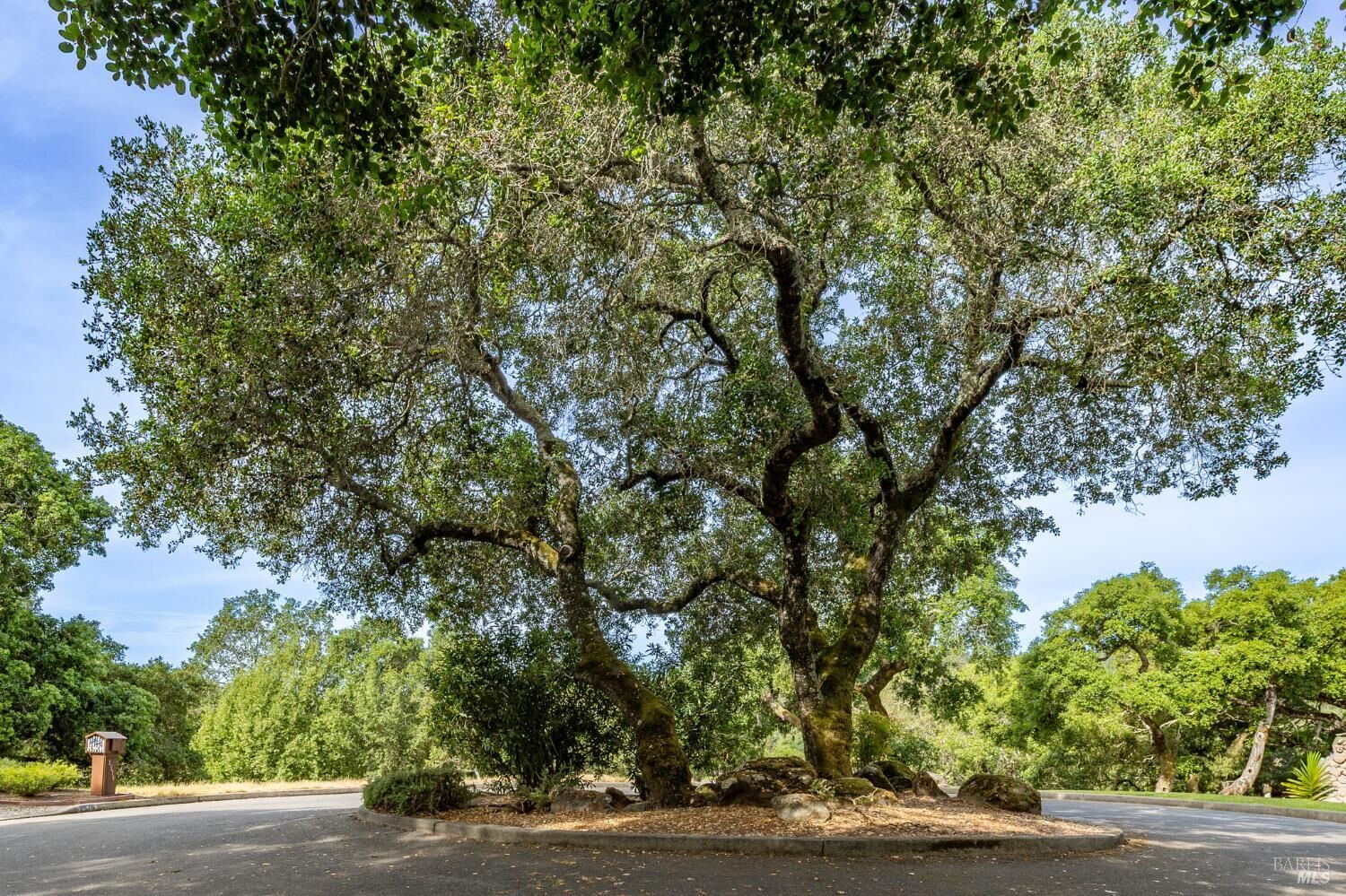 Property Photo:  0 Rim Rock Way  CA 95404 