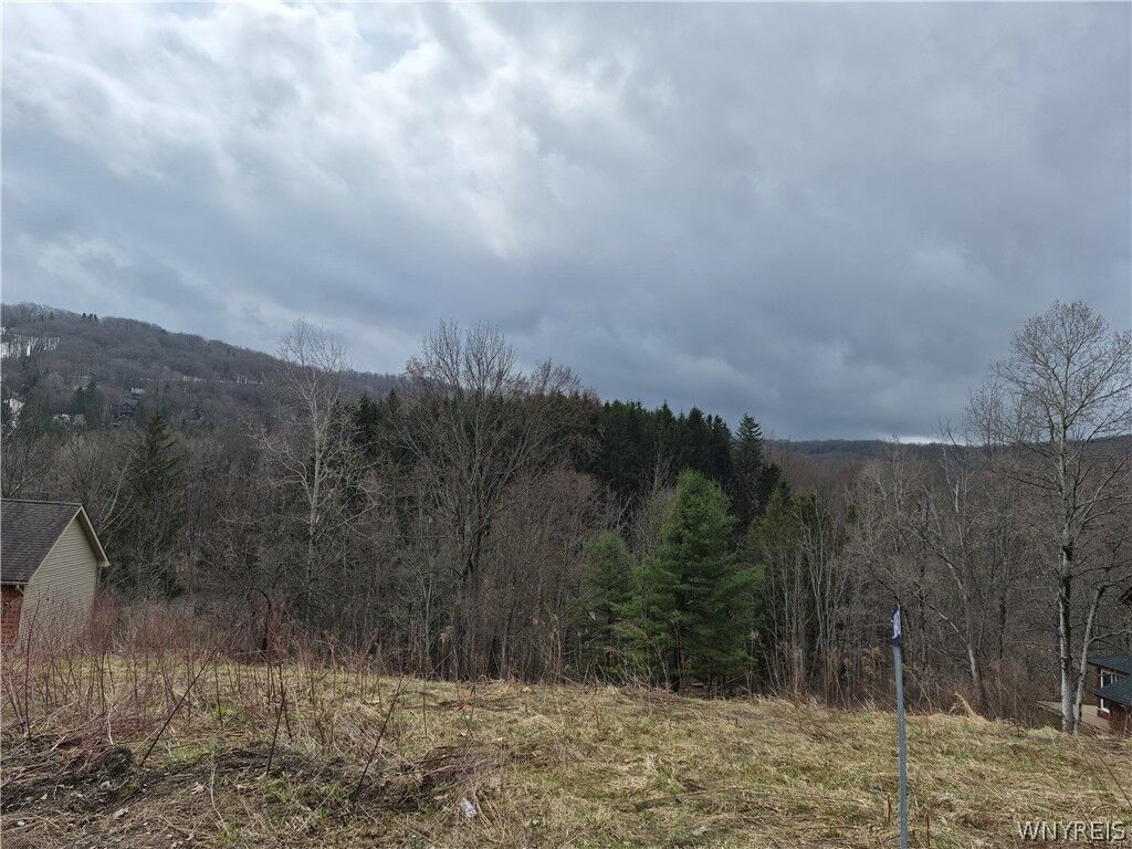 Property Photo: 6843 Springs Road NY 14731