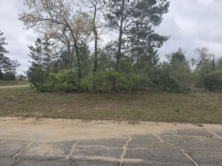 Property Photo:  Tbd Otis Lane  FL 32428 