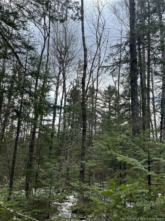 Property Photo:  Lot 1 And 2 Plan 4632 Route 645  NB E6K 2X8 