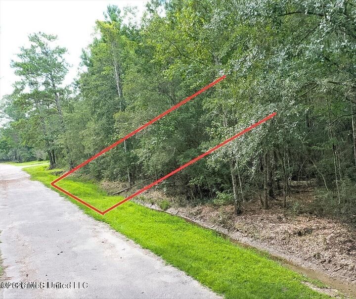 Property Photo:  Tampa Circle  MS 39572 