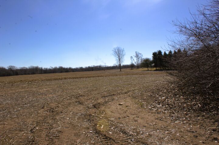 Property Photo: W Pickard Road MI 48858