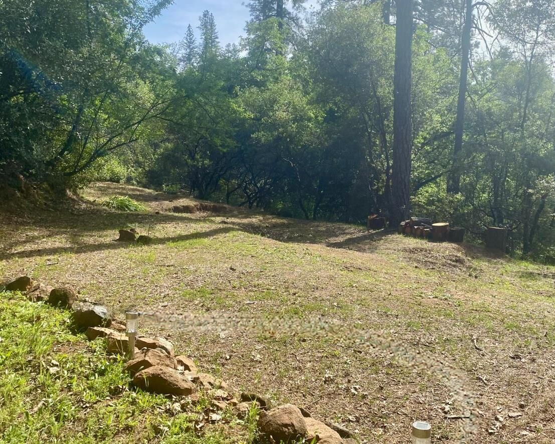 Property Photo:  10075 Grub Creek Drive  CA 95975 