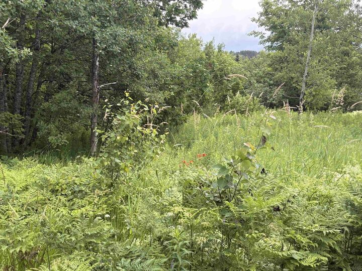 Property Photo:  Lot 235 Landsdowne Station Road  NS B0K 2A0 