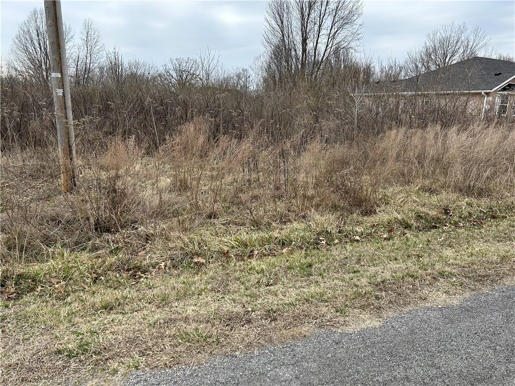 Property Photo:  Lot 21 Block 2 Dunipace Drive  AR 72715 