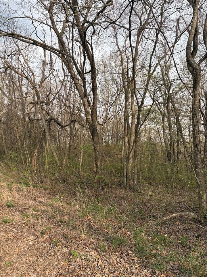 Property Photo:  Lots 169, 170, 171 Huckleberry Circle 7-Rurban  AR 72732 