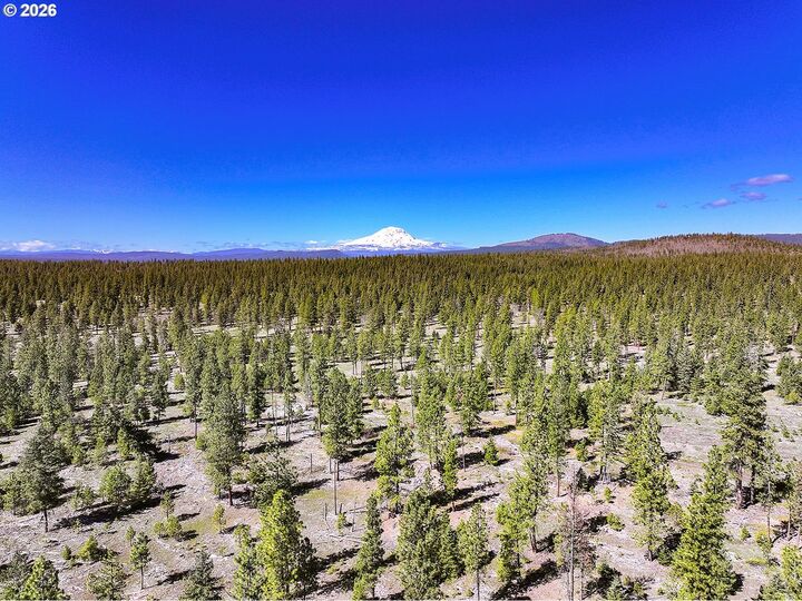 Property Photo:  Ginger Way Lot 7  WA 98620 