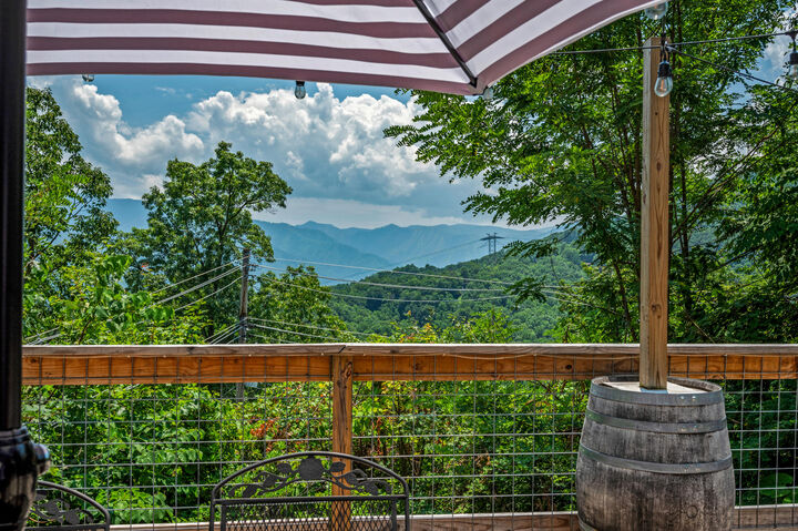 Property Photo:  1166 Ski View Drive  TN 37738 