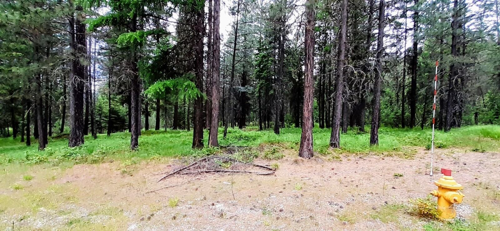 Property Photo:  4xx Couples Pl  WA 99109 