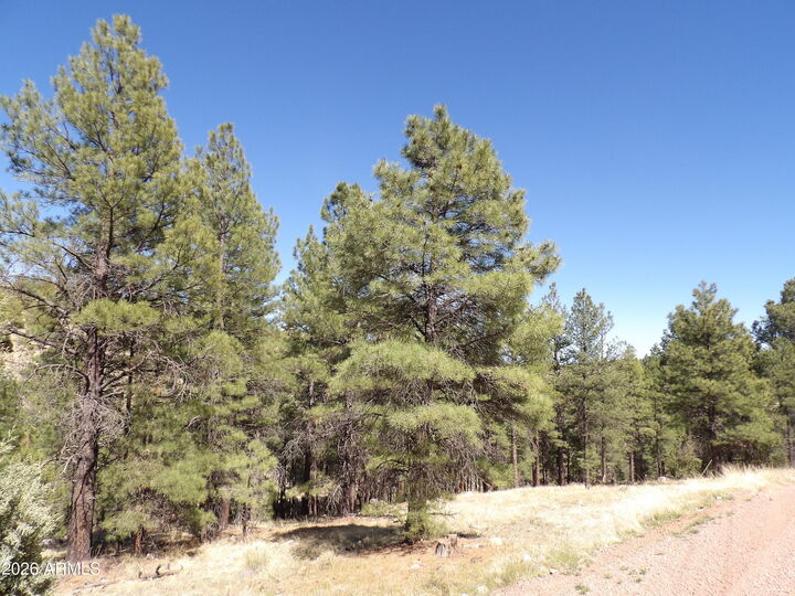 Property Photo:  1601 Moqui Drive 77  AZ 86024 