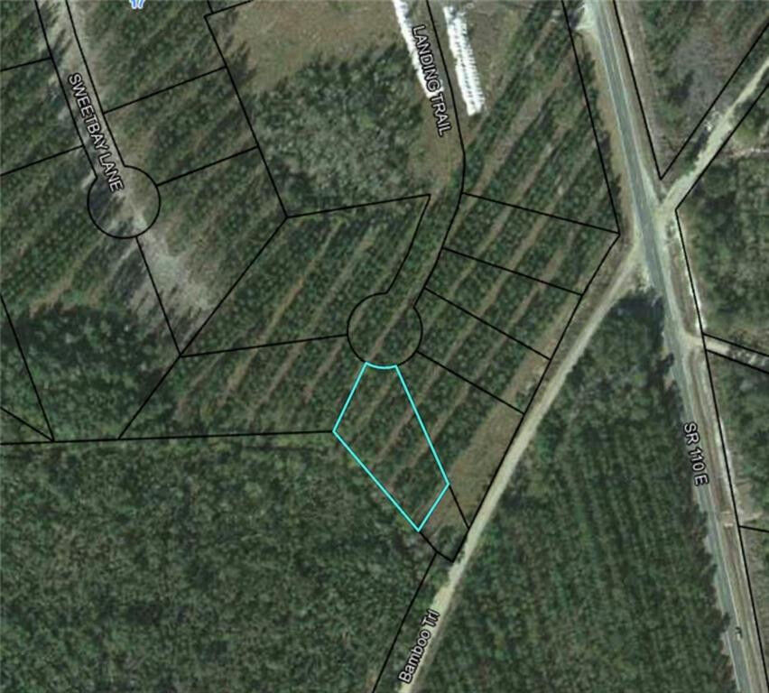 Property Photo: Lot 33 Landing Trail GA 31566