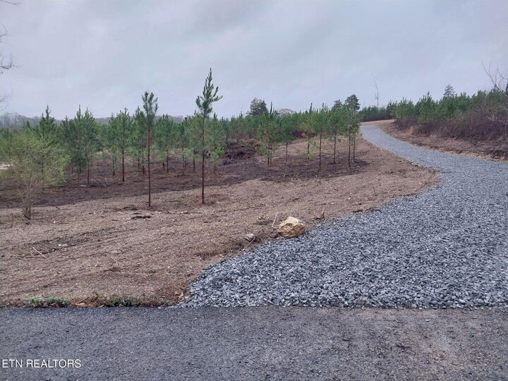 Property Photo: 339 Big Sewee Rd TN 37322