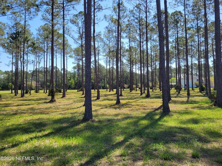 Property Photo:  11019 Derby Chase Court  FL 32219 