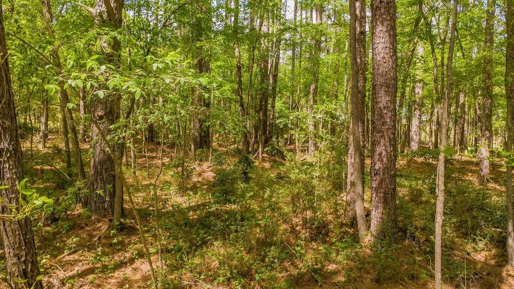 Property Photo:  1723 Pineview Lane  TX 75771 