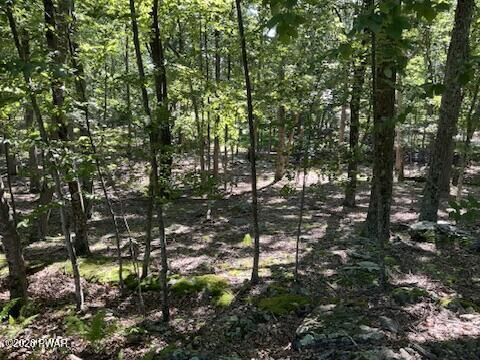 Property Photo:  Lot 290 Mountain Top Drive  PA 18328 