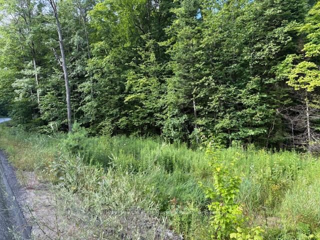 Property Photo:  1788 Old Muskoka Road  ON P0B 1M0 
