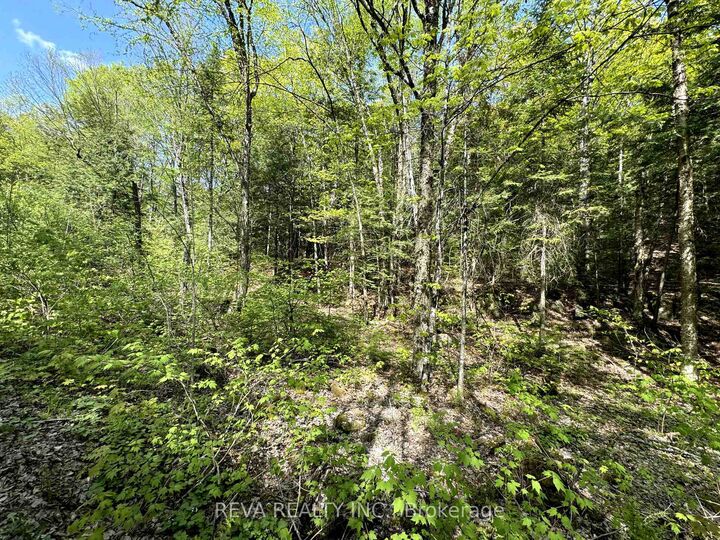 Property Photo:  0 Salmon Trout Lake Road  ON K0L 1C0 