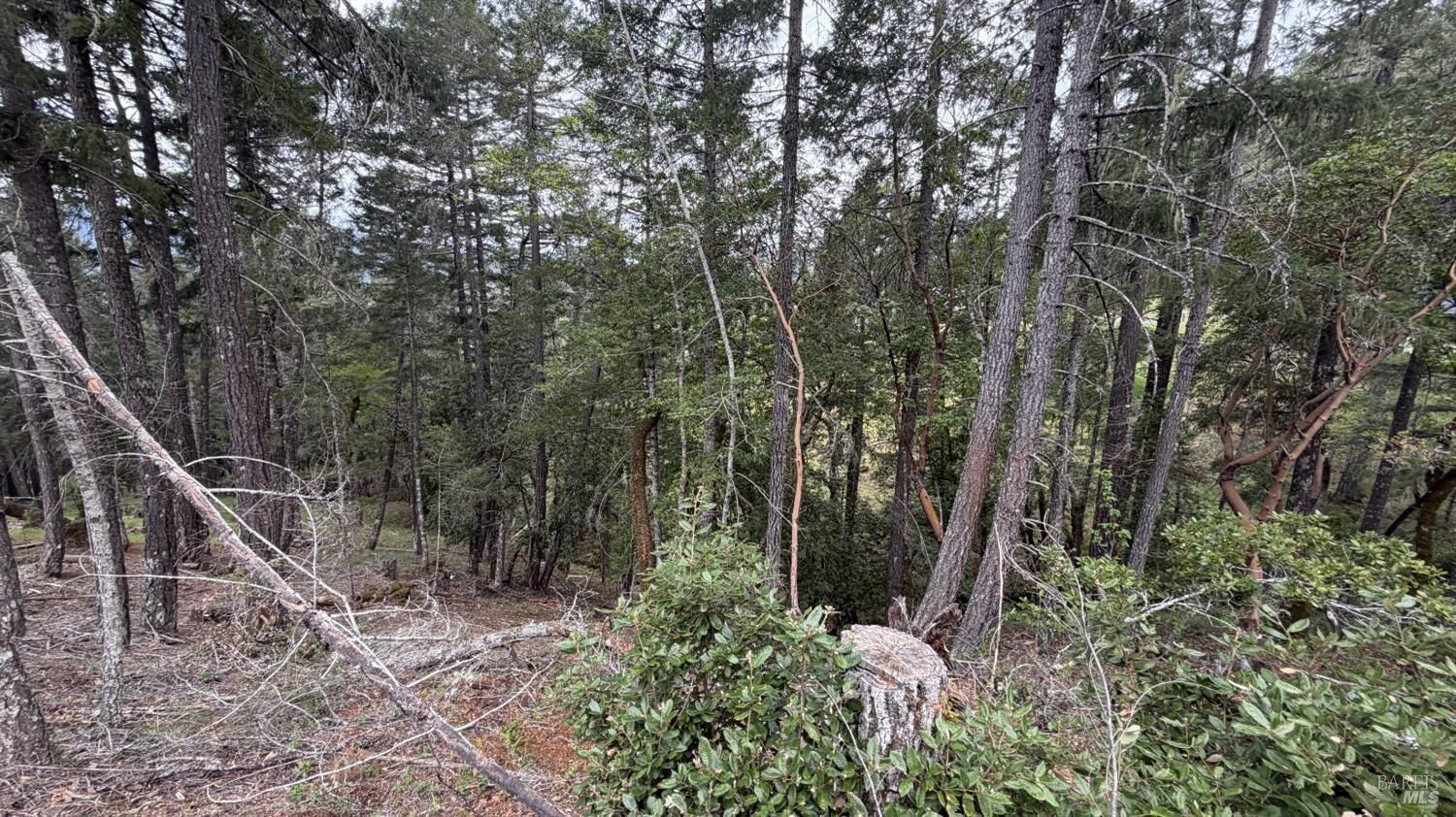 Property Photo:  25648 Madrone Drive  CA 95490 